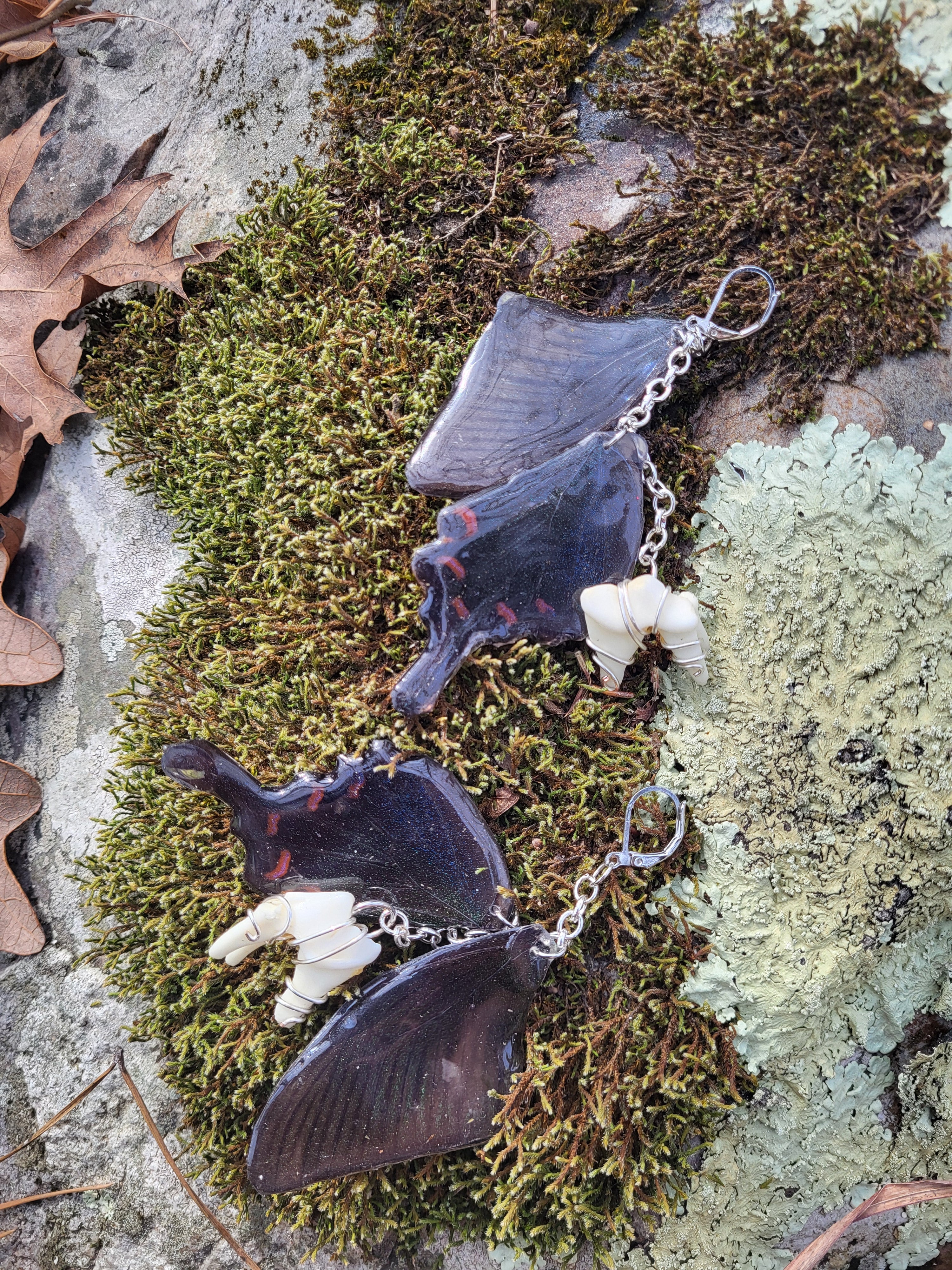 Butterfly wings & Coyote teeth